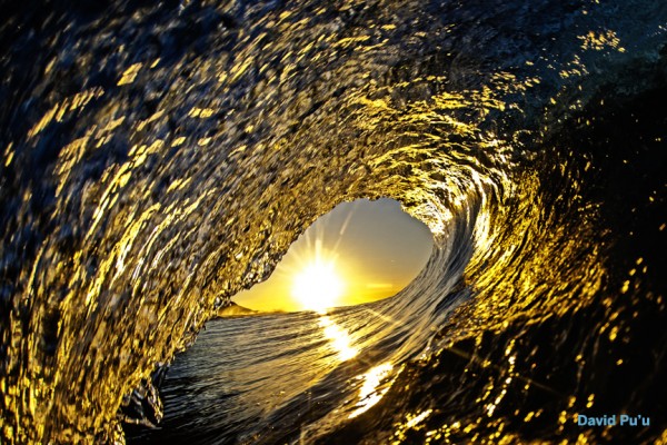 Golden Wave